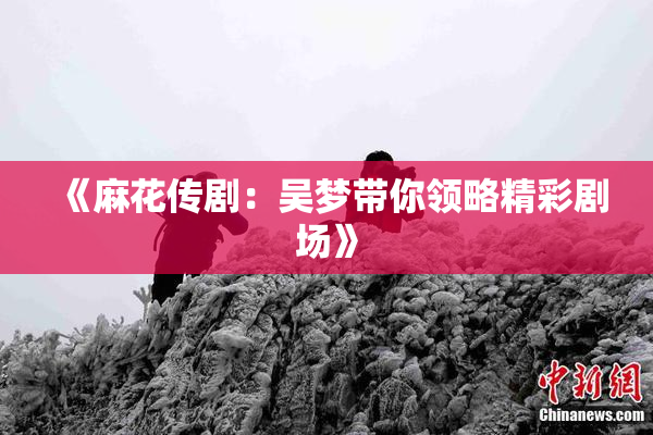 《麻花传剧：吴梦带你领略精彩剧场》