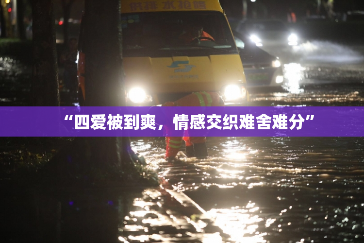 “四爱被到爽，情感交织难舍难分”