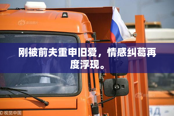 刚被前夫重申旧爱，情感纠葛再度浮现。