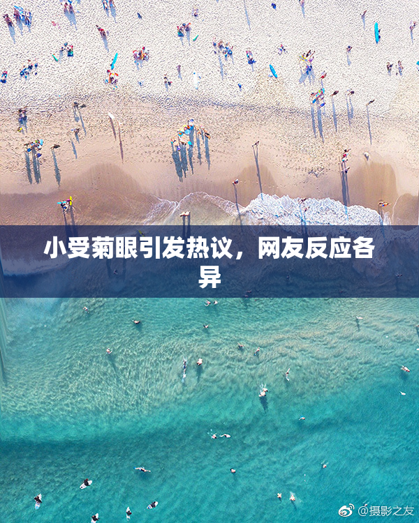 小受菊眼引发热议，网友反应各异
