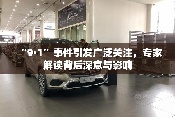 “9·1”事件引发广泛关注，专家解读背后深意与影响