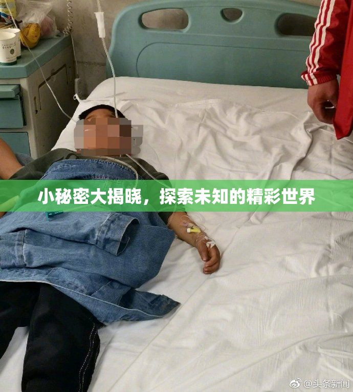 小秘密大揭晓，探索未知的精彩世界
