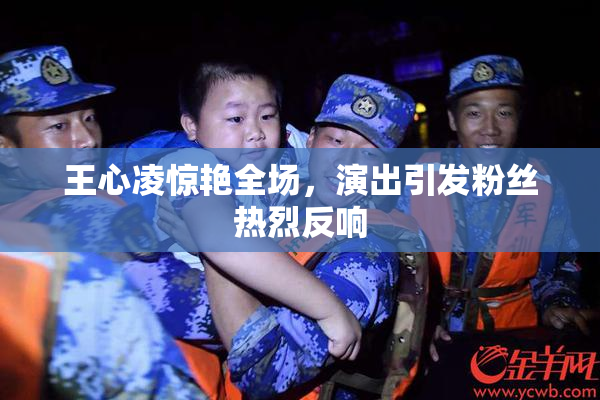 王心凌惊艳全场，演出引发粉丝热烈反响