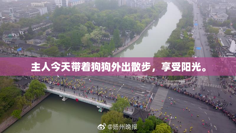主人今天带着狗狗外出散步，享受阳光。