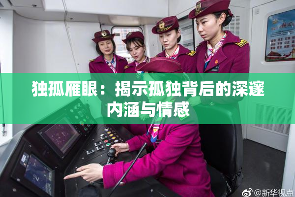 独孤雁眼：揭示孤独背后的深邃内涵与情感