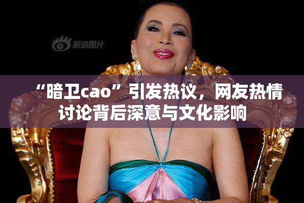 “暗卫cao”引发热议，网友热情讨论背后深意与文化影响