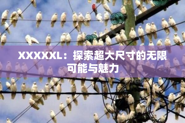 XXXXXL：探索超大尺寸的无限可能与魅力