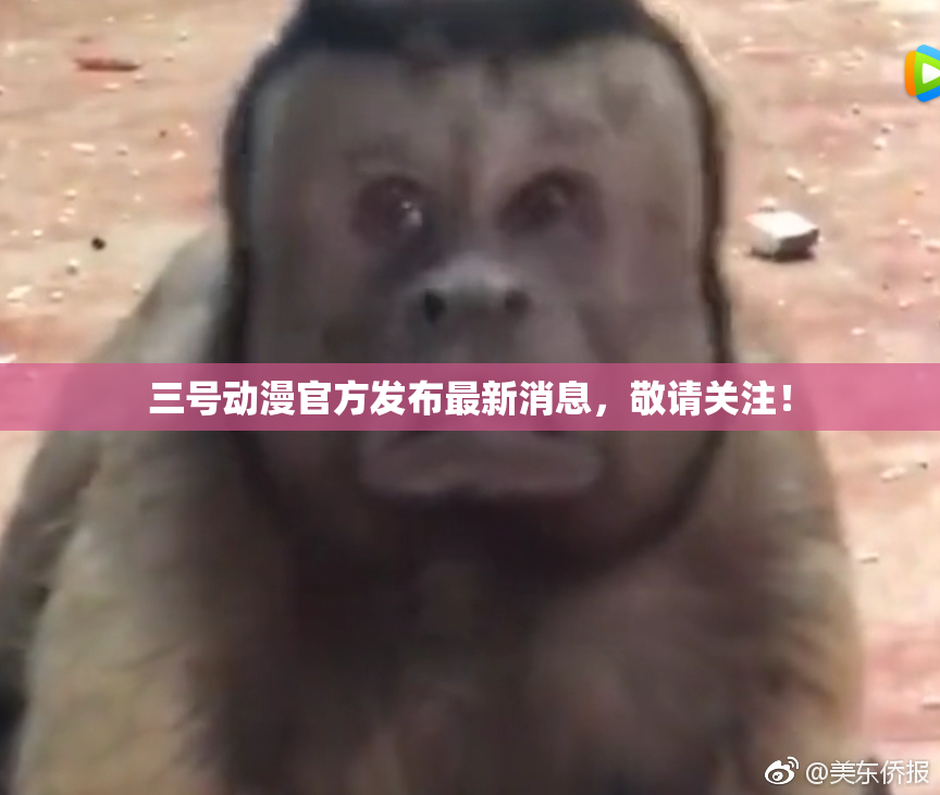 三号动漫官方发布最新消息，敬请关注！