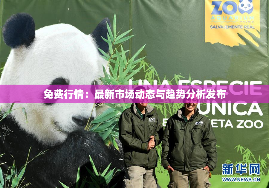 免费行情：最新市场动态与趋势分析发布