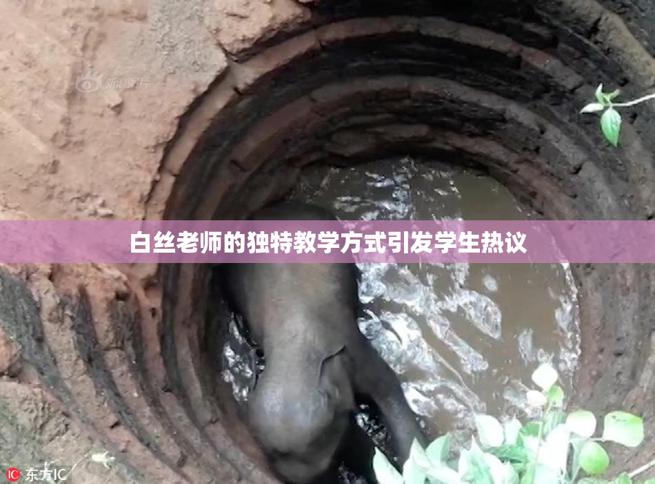 白丝老师的独特教学方式引发学生热议