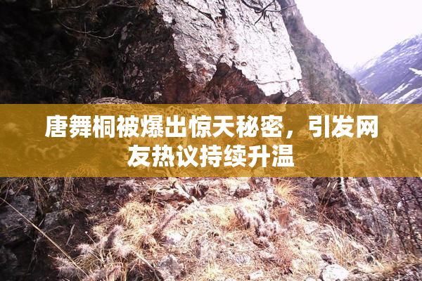 唐舞桐被爆出惊天秘密，引发网友热议持续升温