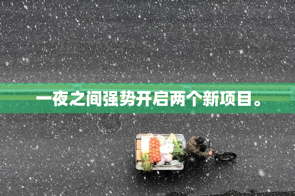 一夜之间强势开启两个新项目。