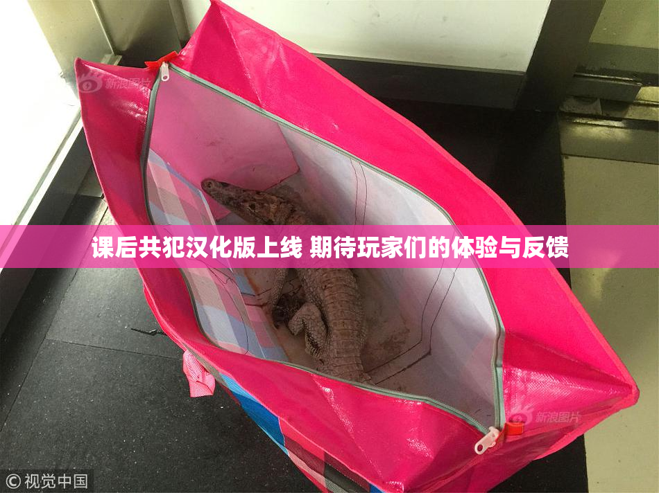 课后共犯汉化版上线 期待玩家们的体验与反馈