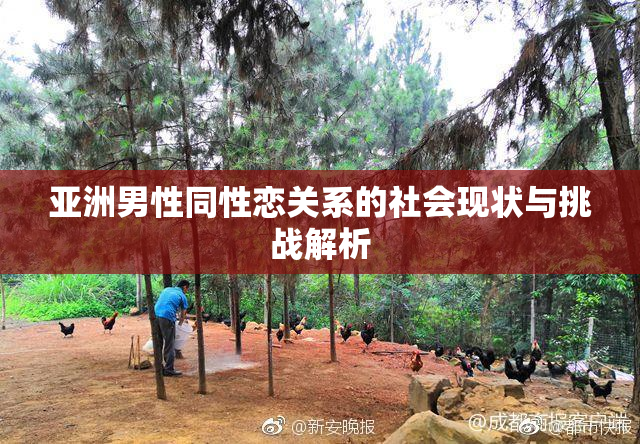 亚洲男性同性恋关系的社会现状与挑战解析
