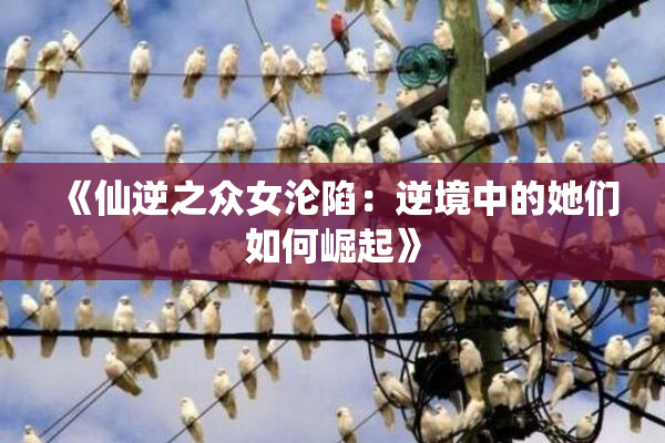 《仙逆之众女沦陷：逆境中的她们如何崛起》