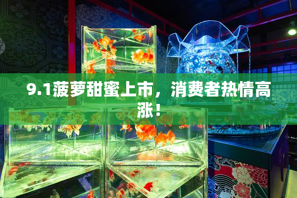 9.1菠萝甜蜜上市，消费者热情高涨！