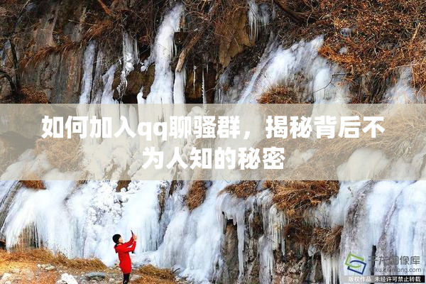 如何加入qq聊骚群，揭秘背后不为人知的秘密