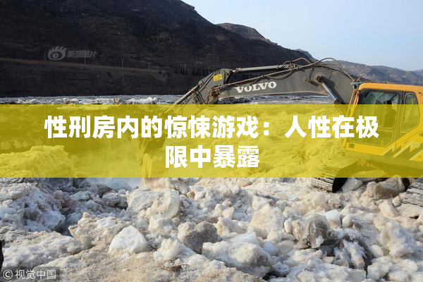 性刑房内的惊悚游戏：人性在极限中暴露
