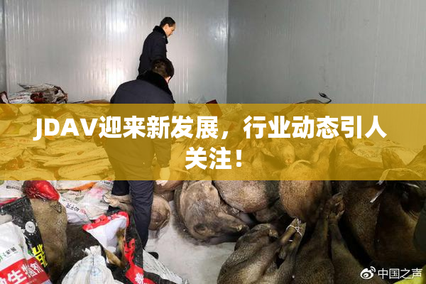 JDAV迎来新发展，行业动态引人关注！