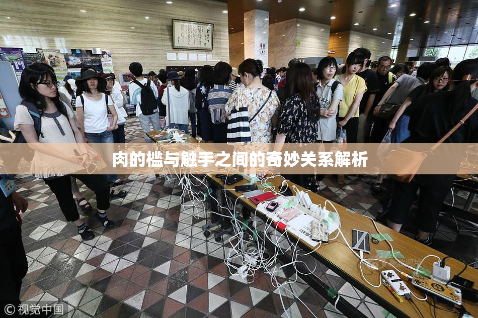 肉的槛与触手之间的奇妙关系解析