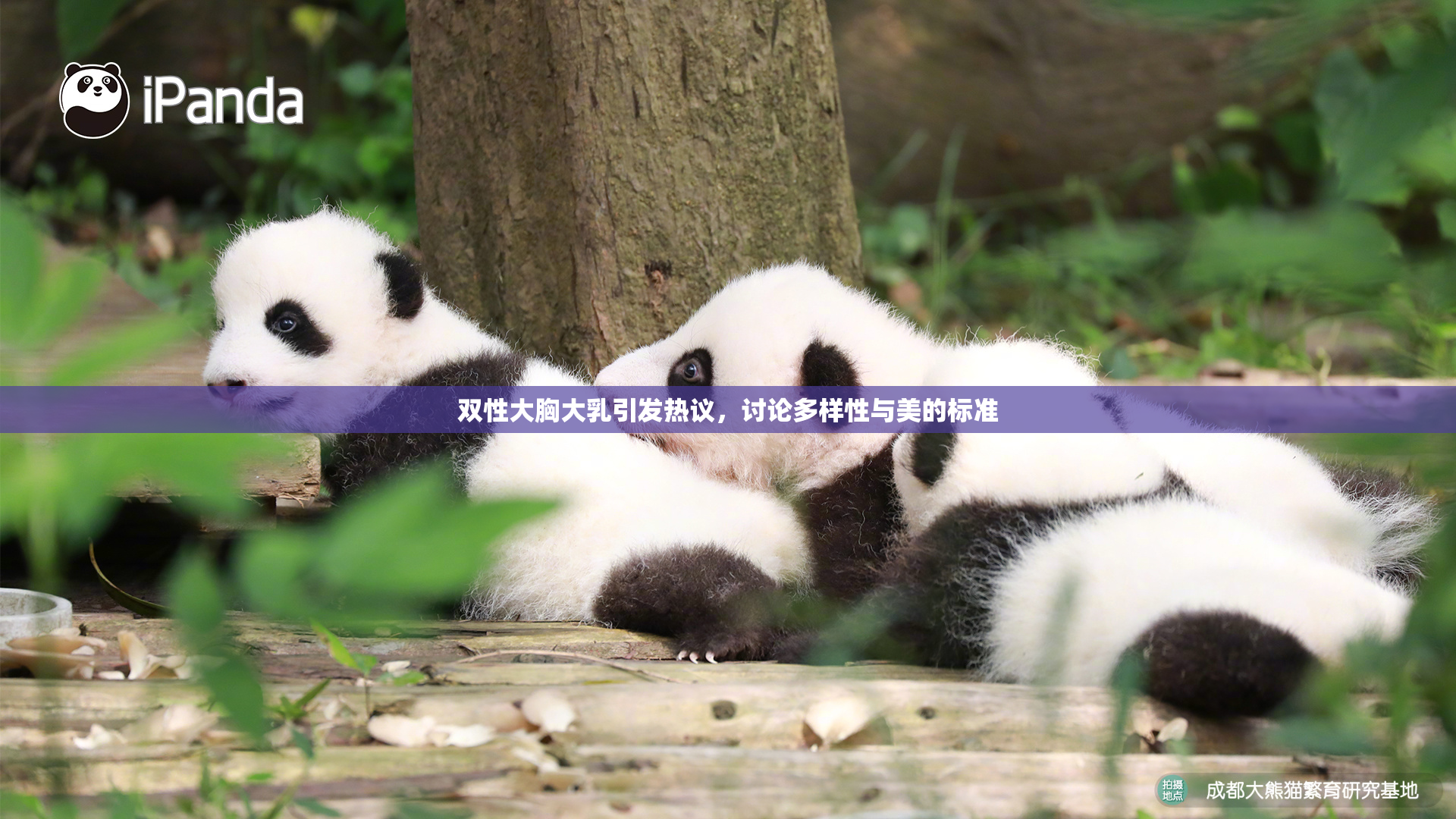 双性大胸大乳引发热议，讨论多样性与美的标准