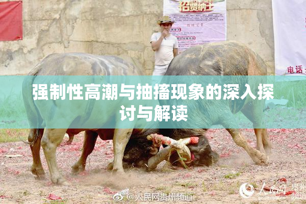 强制性高潮与抽搐现象的深入探讨与解读