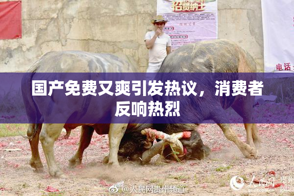 国产免费又爽引发热议，消费者反响热烈