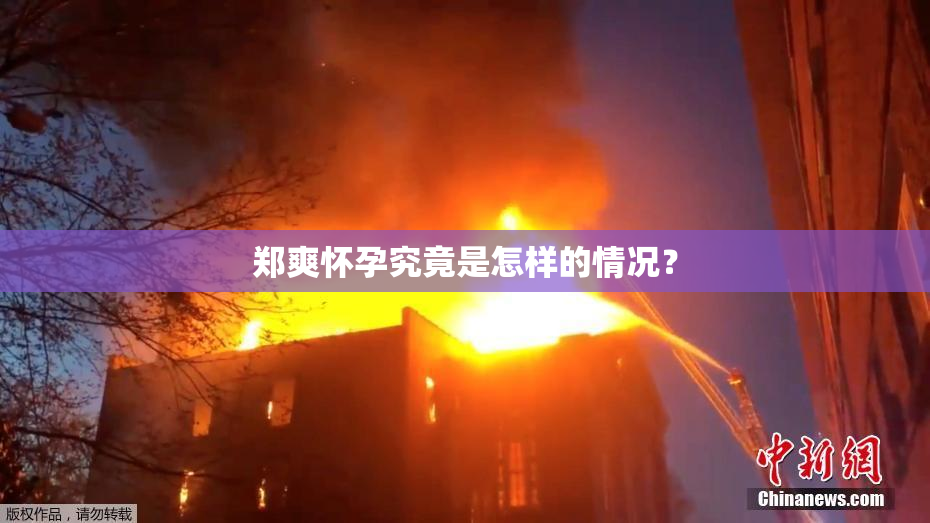 郑爽怀孕究竟是怎样的情况？