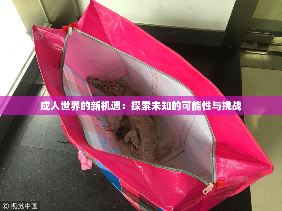成人世界的新机遇：探索未知的可能性与挑战