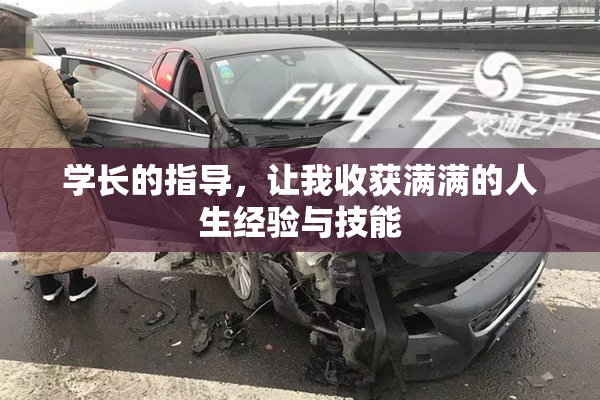 学长的指导，让我收获满满的人生经验与技能