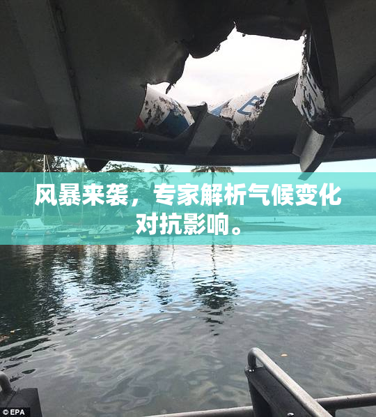 风暴来袭，专家解析气候变化对抗影响。