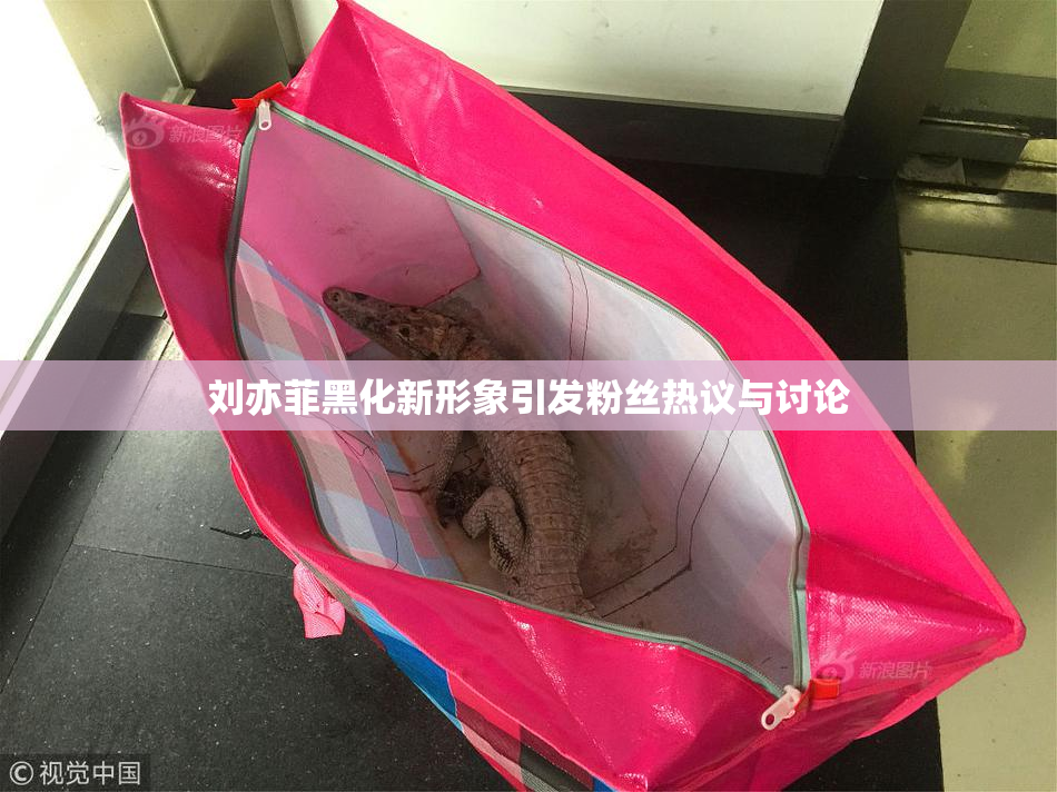 刘亦菲黑化新形象引发粉丝热议与讨论