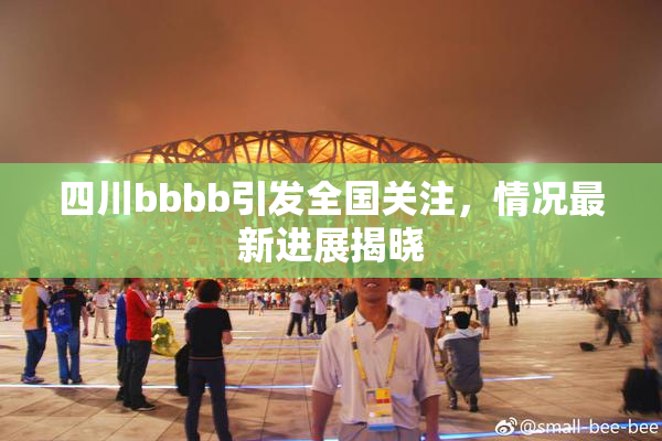 四川bbbb引发全国关注，情况最新进展揭晓