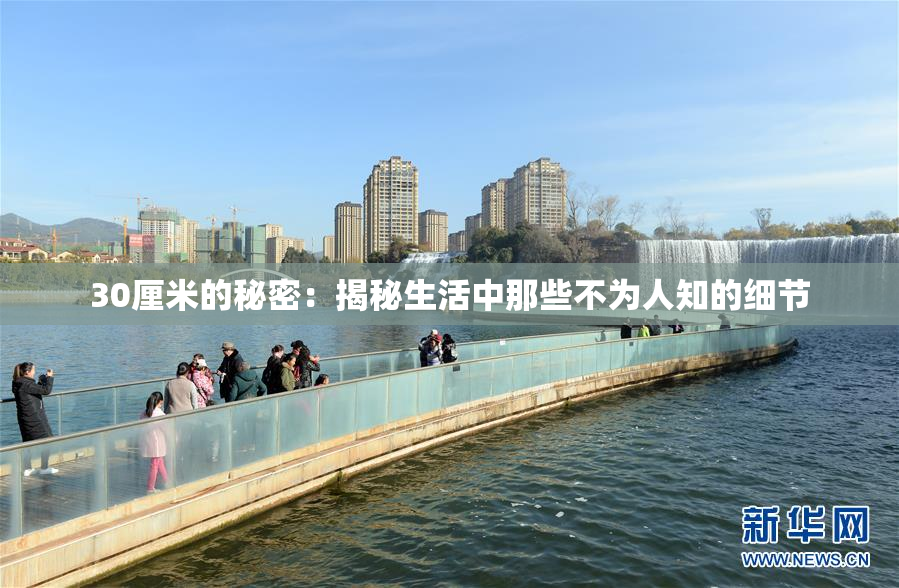 30厘米的秘密：揭秘生活中那些不为人知的细节