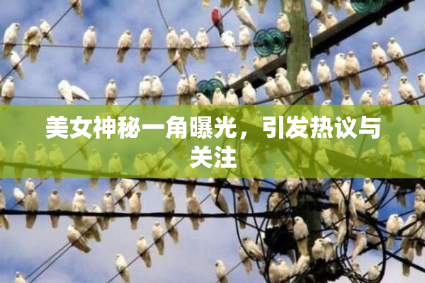 美女神秘一角曝光，引发热议与关注