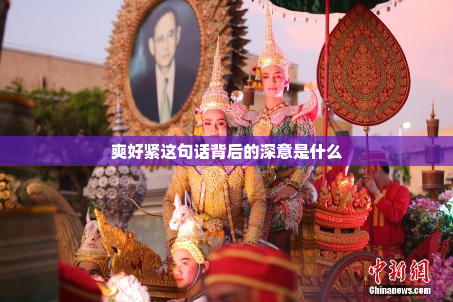 爽好紧这句话背后的深意是什么