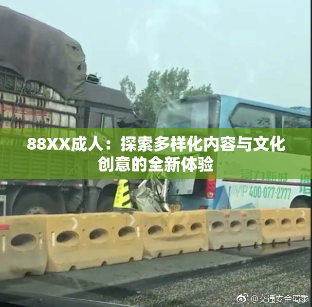 88XX成人：探索多样化内容与文化创意的全新体验