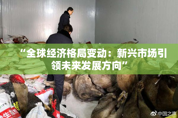 “全球经济格局变动：新兴市场引领未来发展方向”