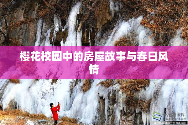 樱花校园中的房屋故事与春日风情