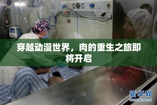 穿越动漫世界，肉的重生之旅即将开启