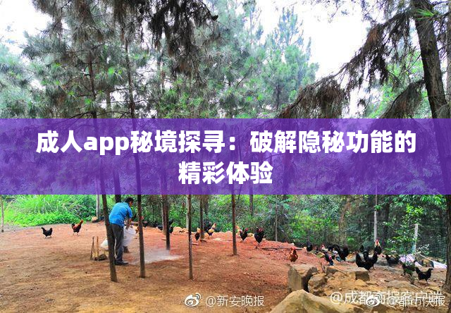 成人app秘境探寻：破解隐秘功能的精彩体验