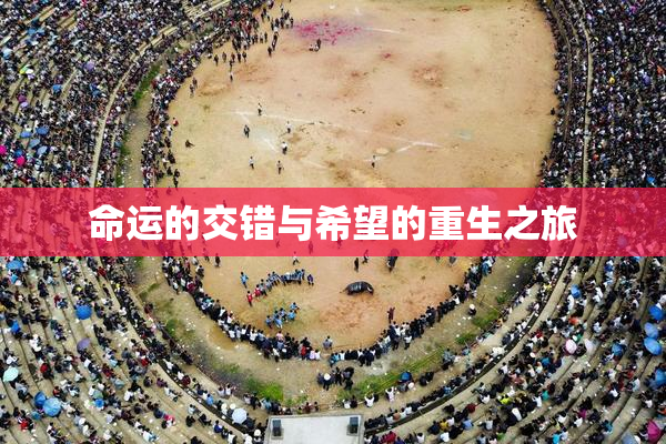 命运的交错与希望的重生之旅