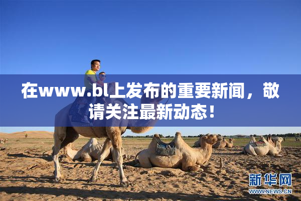 在www.bl上发布的重要新闻，敬请关注最新动态！
