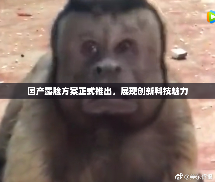 国产露脸方案正式推出，展现创新科技魅力