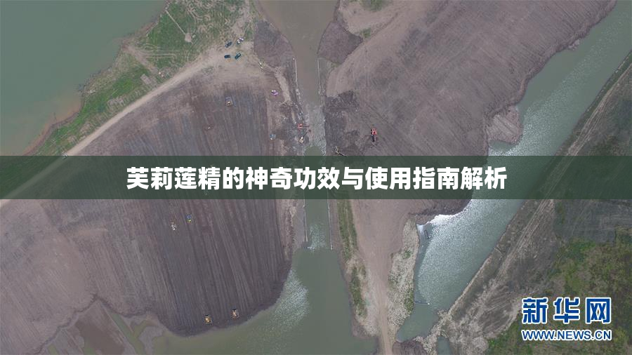 芙莉莲精的神奇功效与使用指南解析
