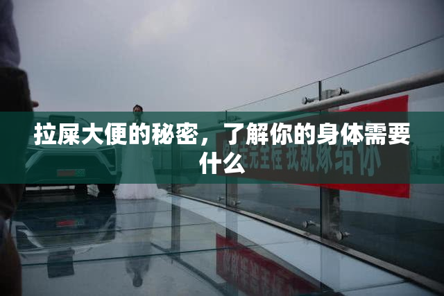 拉屎大便的秘密，了解你的身体需要什么