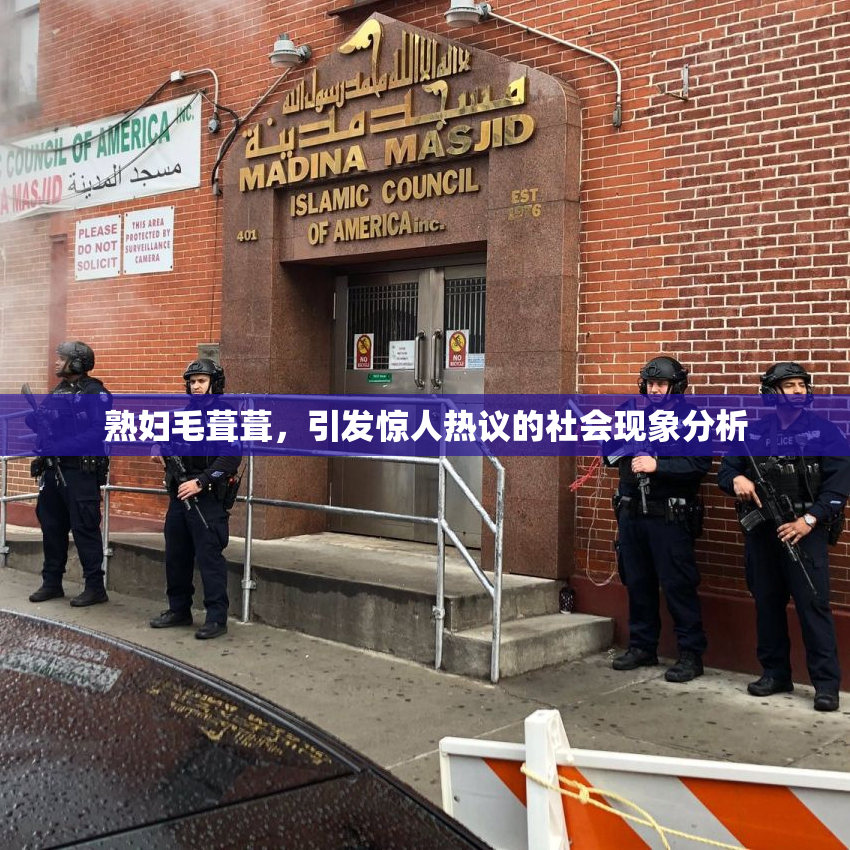 熟妇毛葺葺，引发惊人热议的社会现象分析