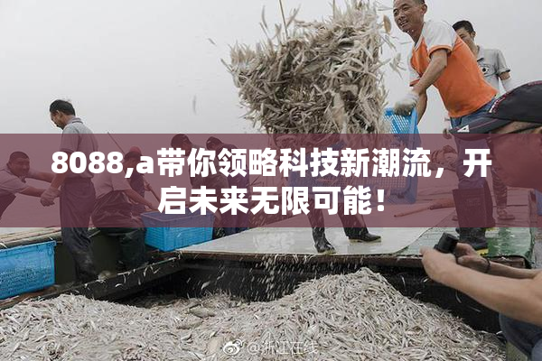 8088,a带你领略科技新潮流，开启未来无限可能！