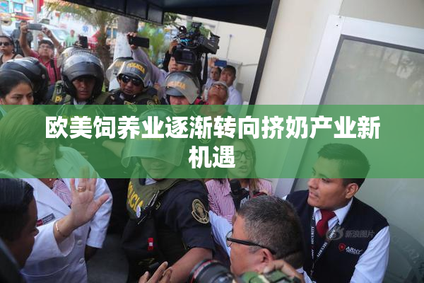 欧美饲养业逐渐转向挤奶产业新机遇