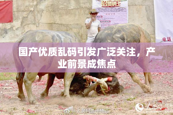 国产优质乱码引发广泛关注，产业前景成焦点